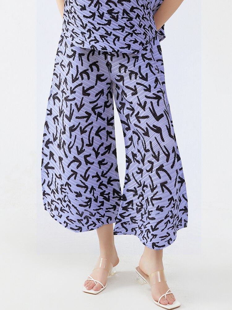 Miyake Pleats Arrow Printed Two Piece Sets